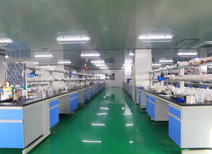 從化復大生物 引領美妝新風尚，解析如何選擇優質化妝品OEM加工廠